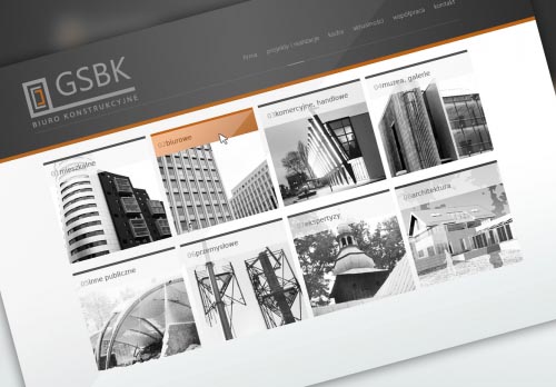 REAL ESTATE DEVELOPER
